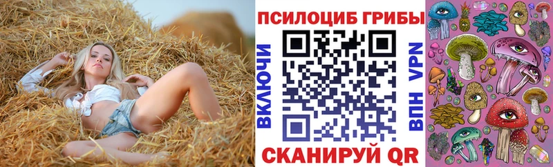 даркнет сайт  Оленегорск  ссылка на мегу сайт  Галлюциногенные грибы прущие грибы 
